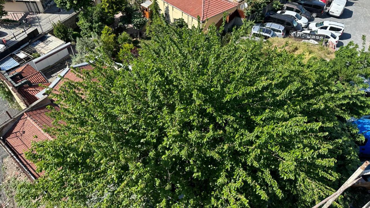 Mar Boutique Apartment Istanbul Luaran gambar